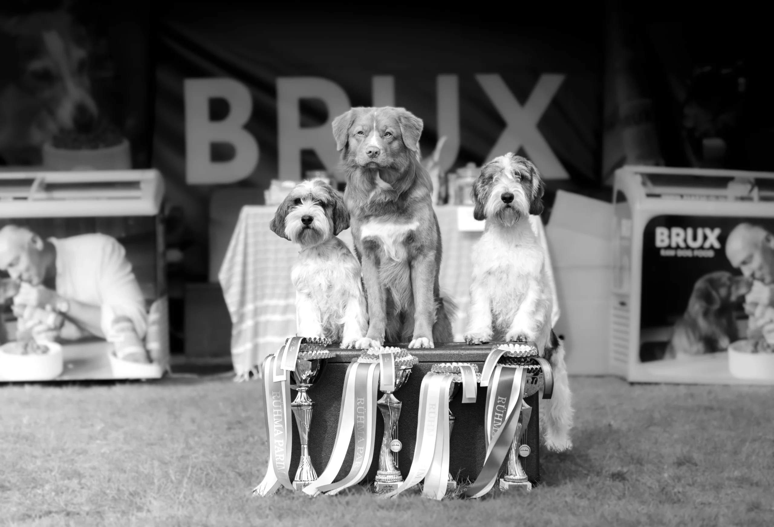 DSC 9870 Edit scaled